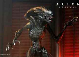 NECA Scorched Xenomorph & Accessory Set Revealed – Alien vs. Predator Galaxy news-28072024-012625