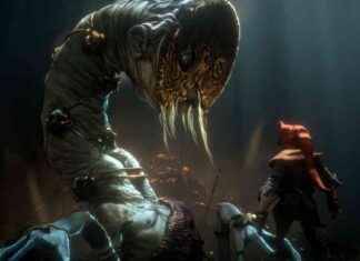 Latest Update: Brutal Combat, Crucible Revamp, and Stray Animals news-28072024-024619