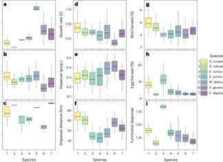 Convergent Refugia for Flightless Birds: Ecological Dynamics of Moa Extinctions news-28072024-025616