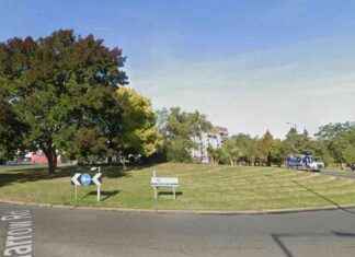 Woman Suffers Life-Changing Injuries in Roundabout 3 Car Crash news-28072024-075650