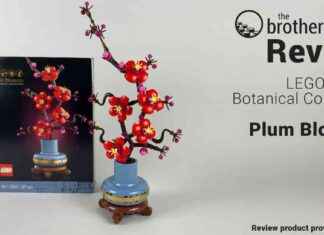 LEGO Botanical Collection 10369 Plum Blossom Review: The Brothers Brick news-28072024-135547