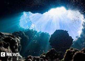 Creating Dark Oxygen: The Role of Deep Sea ‘Batteries’ news-28072024-135731