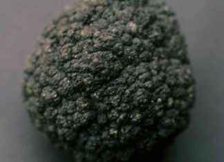 Unlocking the Mystery of Nodules: Are They Truly Battery Rocks? news-28072024-140126