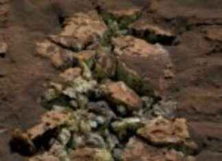 Curiosity Rover Finds Surprise in Martian Rock: NASA Discovery news-28072024-141602