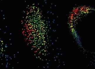 Uncovering Gibberellin’s Role in Nitrogen-Fixation with Next-Gen Biosensor news-28072024-143045