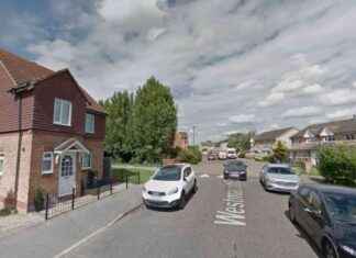 Motorcyclist Injured in London Car Crash: Hospitalized After Accident news-29072024-024242