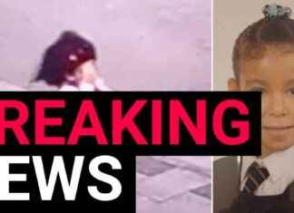 Desperate Search for Missing 6-Year-Old Girl in Pajamas news-29072024-224530