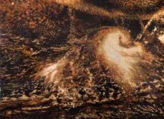 Top 2024 Science Exhibitions in London: Must-See Events for Science Enthusiasts news-30072024-082529