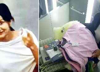 How an ‘Industrial’ Shoplifter Scammed Shops for £500,000 news-30072024-123537