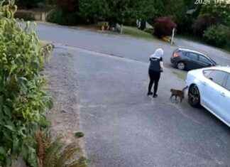 Amazon Delivery Driver Accused of Stealing Customer’s Cat news-30072024-201512