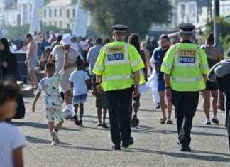 Police Seize Weapons After Machete Fight Sparks Panic in Crowds news-31072024-001533