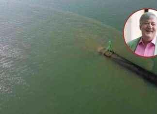 Join Stephen Fry in Urging Government Action for UK Oceans news-31072024-045315