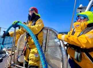 Ealing Sailor Completes Epic 11-Month Round-the-World Journey news-31072024-125122