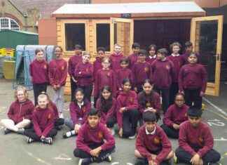 Captivating Children’s Letters from Harmondworth Company: A Heartwarming Story news-01082024-071737