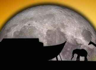Preserving Rare Animals: Scientists’ Moon Noah’s Ark Plan news-01082024-071914
