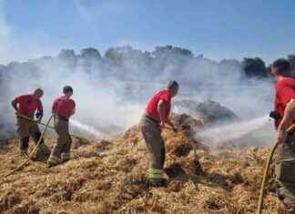 Ruislip Field Fire Prompts Safety Alert: What You Need to Know news-01082024-112546