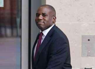 Lammy Applauds Russian Prisoner Swap Freeing British Nationals news-01082024-112701