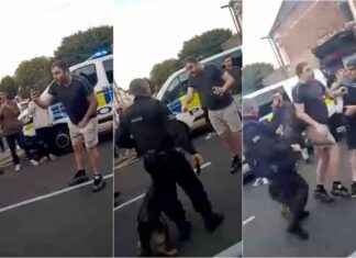 Instant Karma: Police Dog Takes Down Beer-Swilling Protester news-02082024-014512