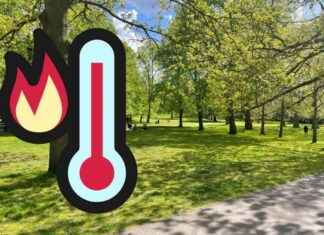 Heatwave Continues in London: Yellow Health Alert Extended news-02082024-054442