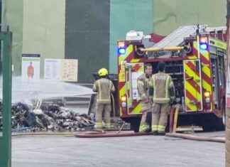 Tragic Death in Early Morning Flat Fire: Woman Dies in Incident news-02082024-170541