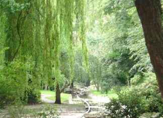 London’s Most Peaceful Hidden River Walk Ending at a Great Pub news-02082024-211450