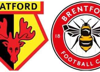 Frank’s Creative Approach in Bees Friendly Match due to Injuries news-03082024-095315