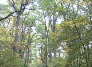 Exploring the Attractions of a Regional Park: A Two-Week Showcase news-04082024-004546