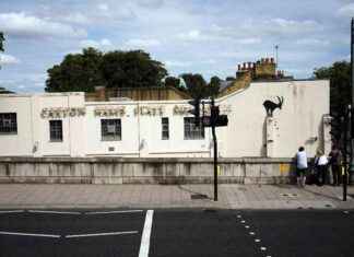 New Banksy Artwork: Goat Perched on Wall in South London news-06082024-101813