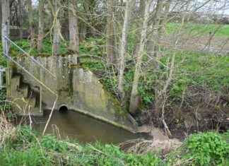 England’s Top Water Companies Facing £168m Fines for Sewage Spills news-06082024-101947