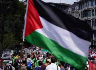 Pro-Palestine Protest Sparks Controversy at Children’s Theatre Show news-09082024-105605