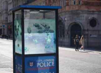 New Title: Seventh Banksy Animal Artwork Unveiled in London news-12082024-013331