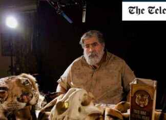 TV Guide: My Tiger Family, Mastermind and More – What to Watch Tonight news-12082024-110309