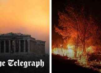 Athens Wildfires: Children’s Hospital Evacuated Due to 80ft Flames news-12082024-170652
