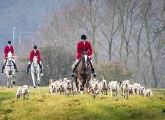 Protect UK Fox Hunters as a Minority Group: Pro-Hunting Campaign news-13082024-051620