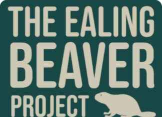 Greenford Baby Beavers Make History with Their Creation of a New Generation news-13082024-111016