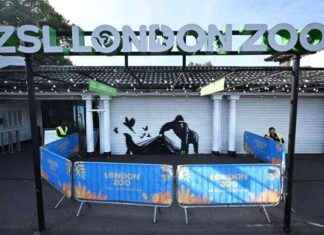 New Banksy? Gorilla Artwork Surfaces at London Zoo – Latest Street Art News news-13082024-111444