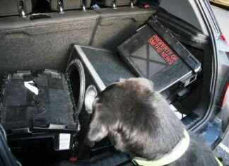 Using sniffer dogs to detect illegal tobacco products at Ruislip store news-14082024-184830