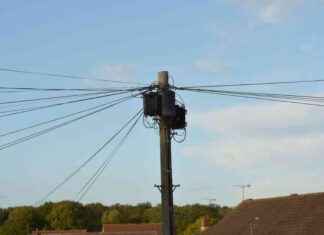 Limiting Installation of Telegraph Poles: Government Urges Broadband Companies news-17082024-052341