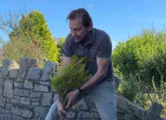 Neighbour Feud Escalates: Businessman Destroys Village Flower Bed news-17082024-052902