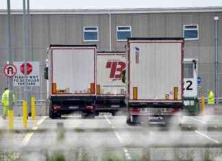 Critics Slam Chaotic Post-Brexit Import Controls: Agents Sound Alarm news-17082024-112529