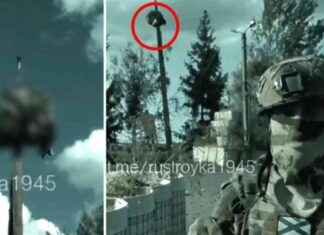 Russian Soldier Displays Head of Ukrainian Soldier on Stake: Disturbing Incident in Ukraine news-17082024-113013