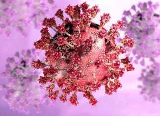 Is the FLiRT Covid Variant Still a Threat to Summer Plans? news-17082024-173135