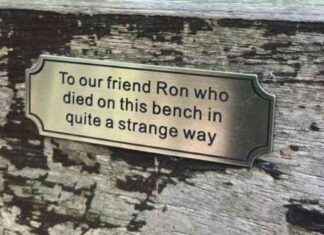 Unraveling the Mystery of the Haunted Park Bench news-18082024-103300