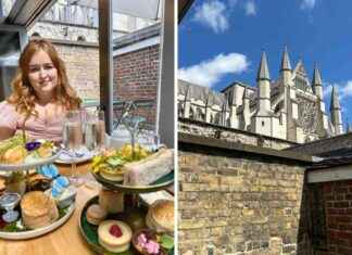 Westminster Abbey offers unique nature-themed afternoon tea in historic cloisters news-18082024-222927