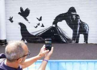 London Zoo Removes Banksy’s Artwork for Safekeeping – Controversy Ensues news-18082024-223526