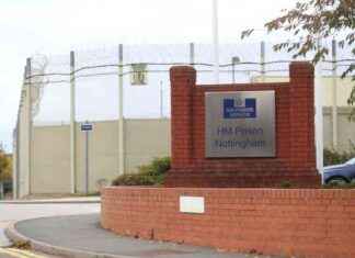 Reducing Recidivism Rates: Early Release Impact on Criminal Reoffending news-19082024-224001