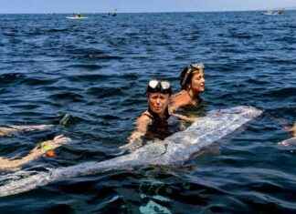 Discovery of Dead ‘Doomsday Fish’ Sparks Concern among Snorkelers and Kayakers news-20082024-224809