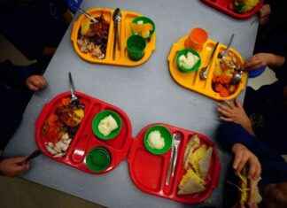 Millions of Children at Risk of Losing Free School Holiday Meals news-21082024-161927