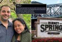 Lawsuit Against Disney for Allergy Death Linked to Disney+ Trial Offer news-21082024-162318