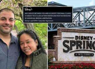 Lawsuit Against Disney for Allergy Death Linked to Disney+ Trial Offer news-21082024-162318